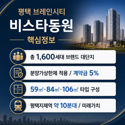 평택 브레인시티 비스타동원 핵심정보 한눈에